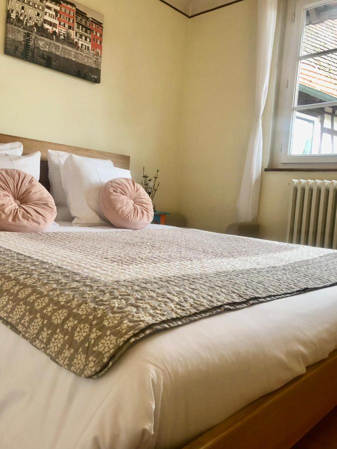 Appartement T3 Aux Deux Cigognes Gries Dış mekan fotoğraf