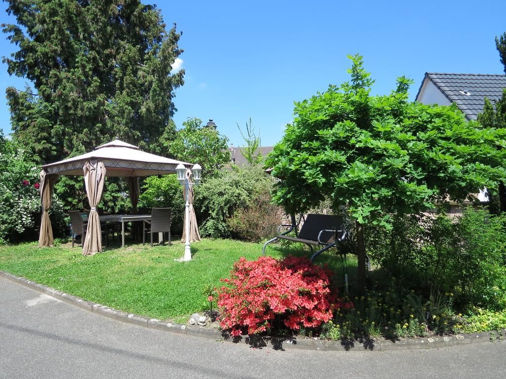 Appartement T3 Aux Deux Cigognes Gries Oda fotoğraf