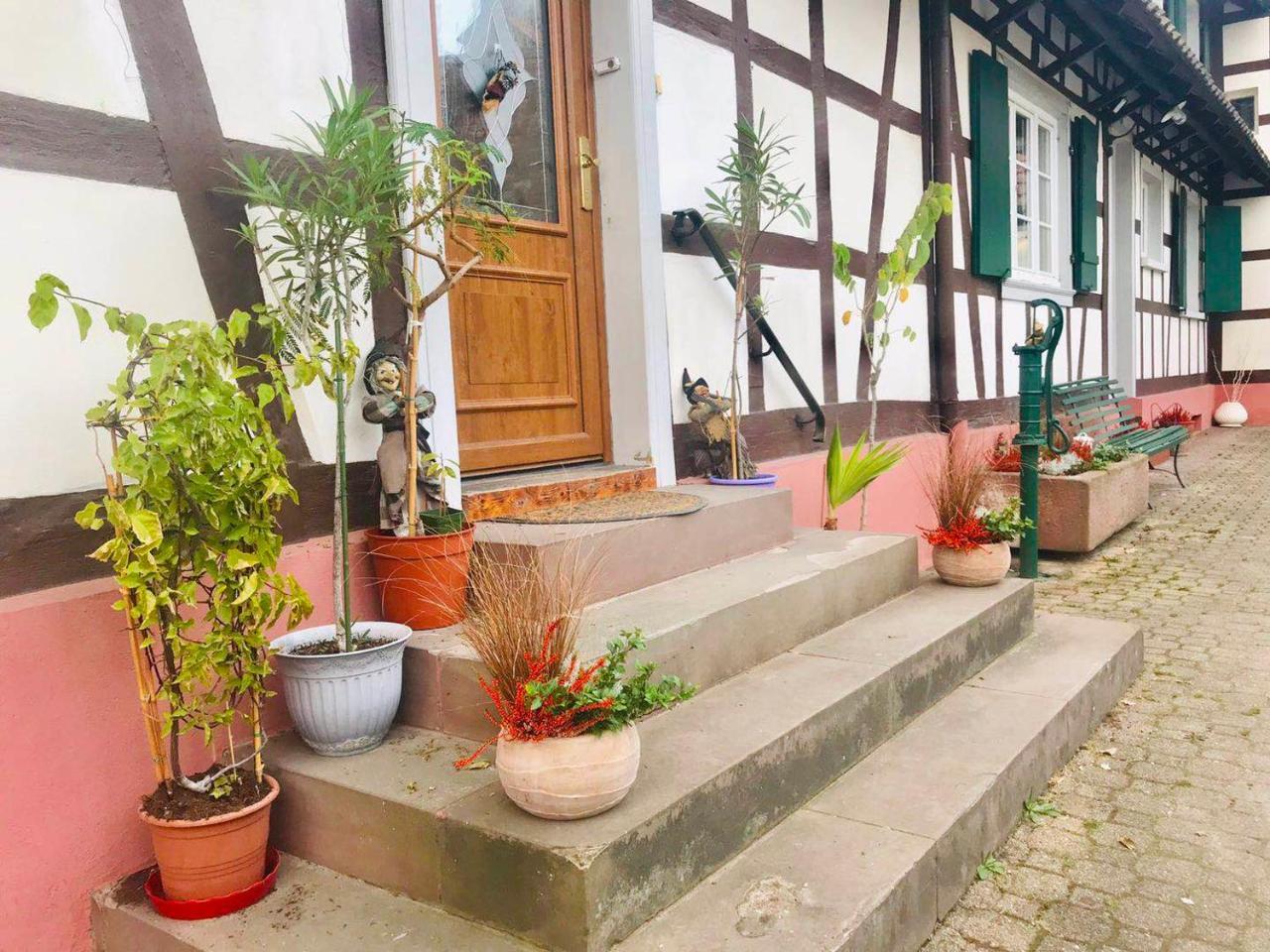 Appartement T3 Aux Deux Cigognes Gries Dış mekan fotoğraf